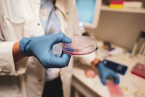 https://bewerbung.medizin.pte.hu/static-files/2599/xxtz5151_mod._w_300_h_300.jpg