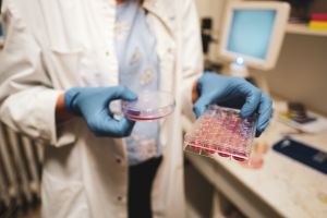 https://bewerbung.medizin.pte.hu/static-files/2600/xxtz5153_mod._w_300_h_300.jpg